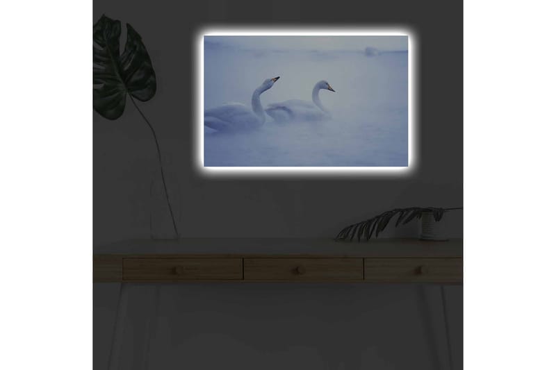 Lerretsbilde med LED-belysning - Svaner som svømmer i et tåkete vannmiljø - Lys blå / Hvit - Interiør - Maleri & posters - Lerretsbilder