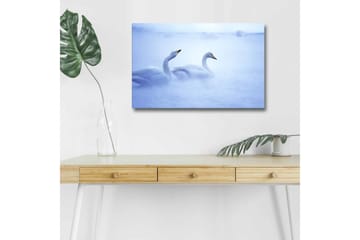 Lerretsbilde med LED-belysning - Svaner som svømmer i et tåkete vannmiljø - Lys blå / Hvit - Interiør - Maleri & posters - Lerretsbilder
