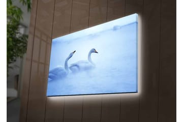 Lerretsbilde med LED-belysning - Svaner som svømmer i et tåkete vannmiljø - Lys blå / Hvit - Interiør - Maleri & posters - Lerretsbilder