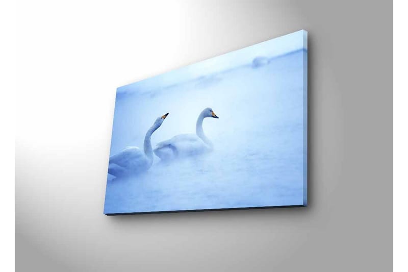 Lerretsbilde med LED-belysning - Svaner som svømmer i et tåkete vannmiljø - Lys blå / Hvit - Interiør - Maleri & posters - Lerretsbilder