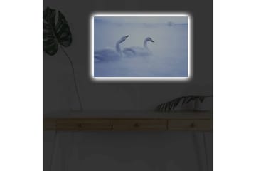 Lerretsbilde med LED-belysning - Svaner som svømmer i et tåkete vannmiljø - Lys blå / Hvit - Interiør - Maleri & posters - Lerretsbilder
