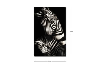 Lerretsbilde med LED-belysning - Svart-hvite sebraer med karakteristiske striper - Svart / Hvit - Interiør - Maleri & posters - Lerretsbilder