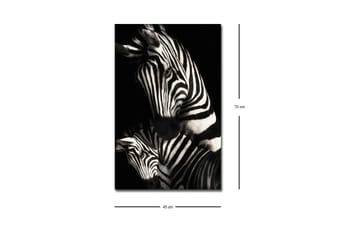 Lerretsbilde med LED-belysning - Svart-hvite sebraer med karakteristiske striper - Svart / Hvit - Interiør - Maleri & posters - Lerretsbilder