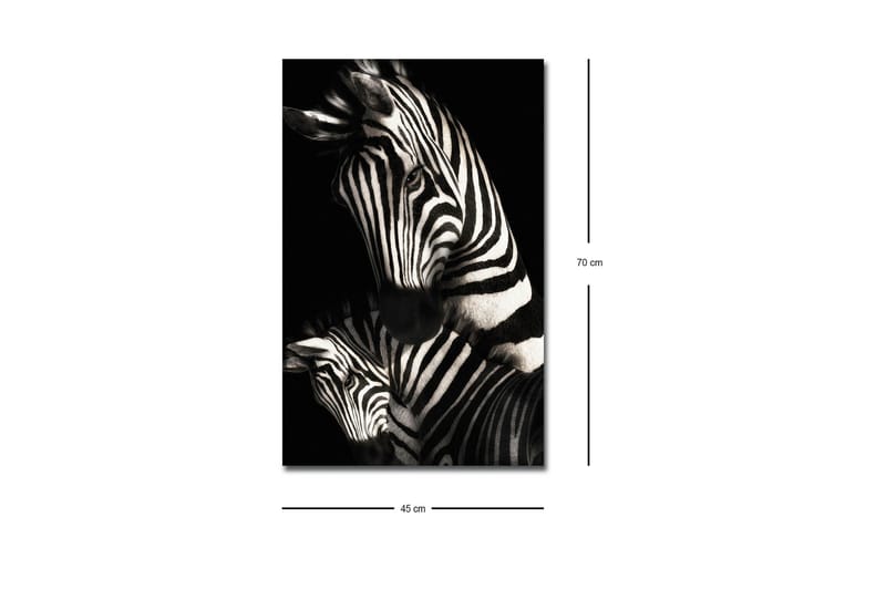 Lerretsbilde med LED-belysning - Svart-hvite sebraer med karakteristiske striper - Svart / Hvit - Interiør - Maleri & posters - Lerretsbilder