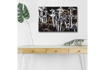 Lerretsbilde med LED-belysning - Svart-hvite sopper i et naturlig miljø - Svart / Hvit / Grå - Interiør - Maleri & posters - Lerretsbilder