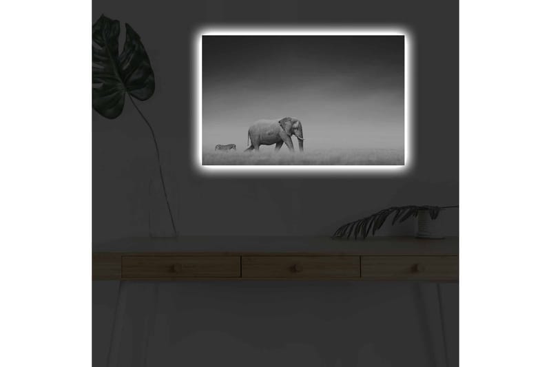 Lerretsbilde med LED-belysning - Svart-hvitt-bilde av en elefant som går gjennom savannen med en sebra i bakgrunnen - Svart / Hvit / Grå - Interiør - Maleri & posters - Lerretsbilder