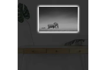 Lerretsbilde med LED-belysning - Svart-hvitt-bilde av en elefant som går gjennom savannen med en sebra i bakgrunnen - Svart / Hvit / Grå - Interiør - Maleri & posters - Lerretsbilder