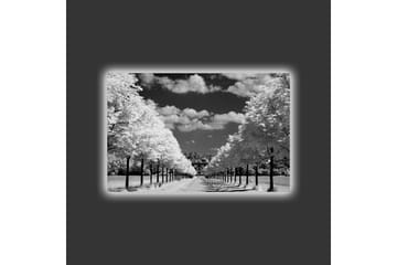 Lerretsbilde med LED-belysning - Svart-hvitt landskapsbilde med allé og hus i bakgrunnen - Svart / Hvit / Grå - Interiør - Maleri & posters - Lerretsbilder