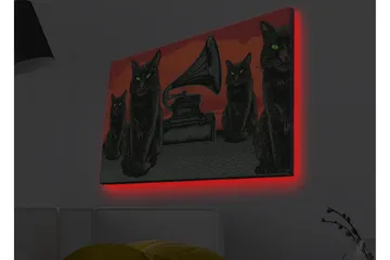 Lerretsbilde med LED-belysning - Svart katt med grønne øyne foran en grammofon på rød bakgrunn - Svart / Rød / Grønn - Interiør - Maleri & posters - Lerretsbilder