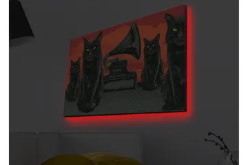 Lerretsbilde med LED-belysning - Svart katt med grønne øyne foran en grammofon på rød bakgrunn - Svart / Rød / Grønn - Interiør - Maleri & posters - Lerretsbilder