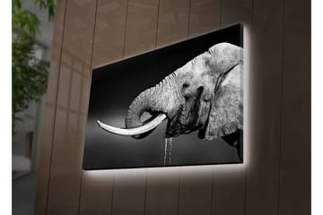 Lerretsbilde med LED-belysning - Svart og hvit elefant med hengende støttenner - Svart / Grå - Interiør - Maleri & posters - Lerretsbilder