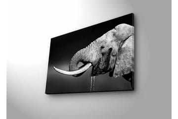 Lerretsbilde med LED-belysning - Svart og hvit elefant med hengende støttenner - Svart / Grå - Interiør - Maleri & posters - Lerretsbilder