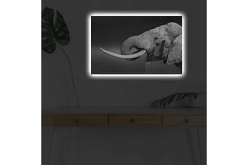 Lerretsbilde med LED-belysning - Svart og hvit elefant med hengende støttenner - Svart / Grå - Interiør - Maleri & posters - Lerretsbilder