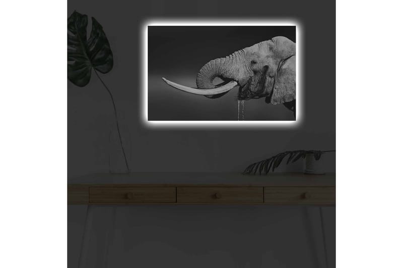 Lerretsbilde med LED-belysning - Svart og hvit elefant med hengende støttenner - Svart / Grå - Interiør - Maleri & posters - Lerretsbilder