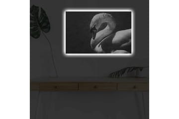 Lerretsbilde med LED-belysning - Svart og hvit svane i elegant positur - Svart / Hvit - Interiør - Maleri & posters - Lerretsbilder
