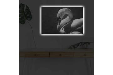 Lerretsbilde med LED-belysning - Svart og hvit svane i elegant positur - Svart / Hvit - Interiør - Maleri & posters - Lerretsbilder