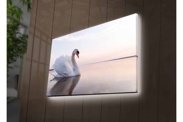 Lerretsbilde med LED-belysning - Svart svane som svømmer i stille vann - Hvit / Grå / Lys blå - Interiør - Maleri & posters - Lerretsbilder