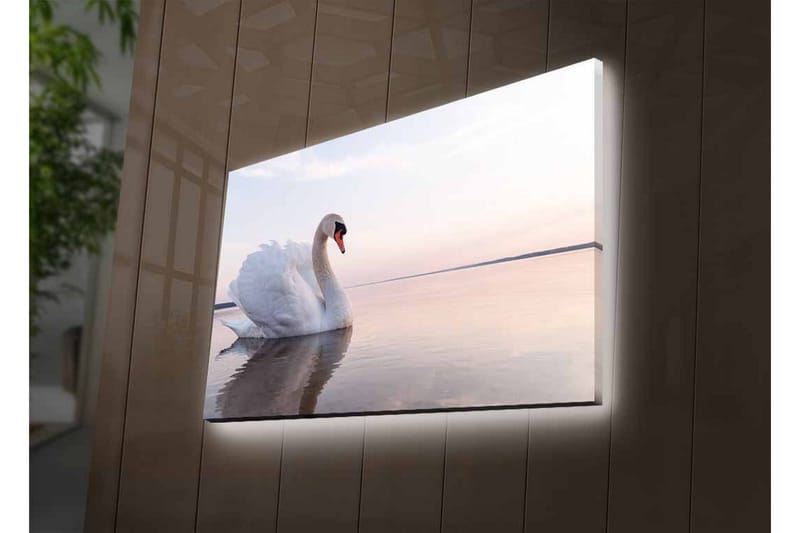 Lerretsbilde med LED-belysning - Svart svane som svømmer i stille vann - Hvit / Grå / Lys blå - Interiør - Maleri & posters - Lerretsbilder