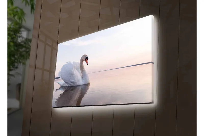 Lerretsbilde med LED-belysning - Svart svane som svømmer i stille vann - Hvit / Grå / Lys blå - Interiør - Maleri & posters - Lerretsbilder