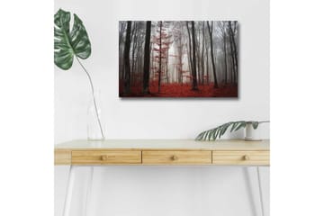Lerretsbilde med LED-belysning - Tåkete skog med røde blader og høye trær - Rød / Grå / Svart - Interiør - Maleri & posters - Lerretsbilder