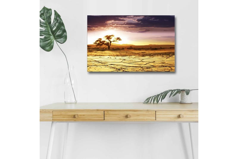 Lerretsbilde med LED-belysning - Tørket landskap med et ensomt akasietre ved solnedgang, Gull / Lilla / Oransje