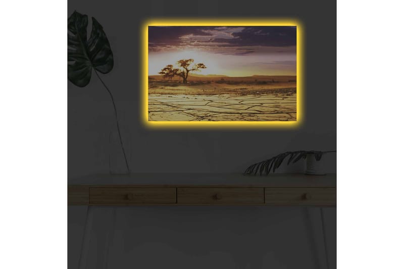 Lerretsbilde med LED-belysning - Tørket landskap med et ensomt akasietre ved solnedgang - Gull / Lilla / Oransje - Interiør - Maleri & posters - Lerretsbilder