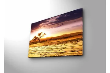 Lerretsbilde med LED-belysning - Tørket landskap med et ensomt akasietre ved solnedgang - Gull / Lilla / Oransje - Interiør - Maleri & posters - Lerretsbilder