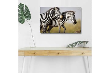 Lerretsbilde med LED-belysning - To sebraer som står tett sammen i et naturlig miljø - Svart / Hvit / Beige - Interiør - Maleri & posters - Lerretsbilder