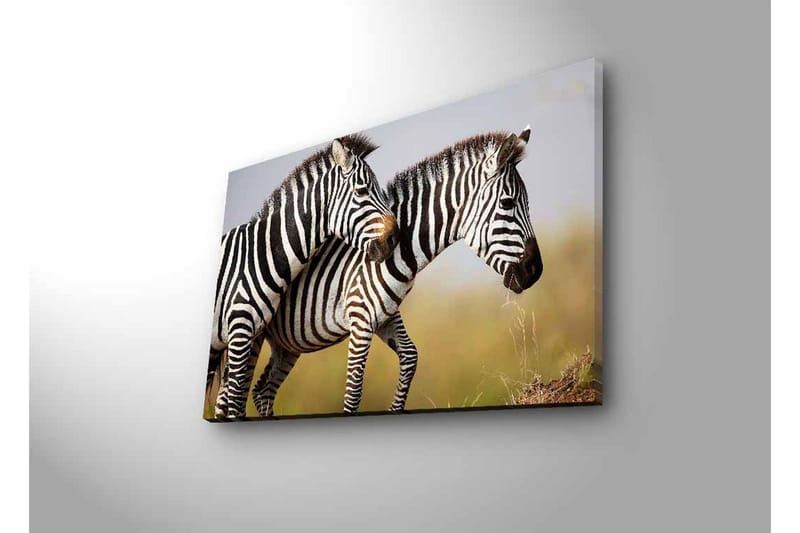 Lerretsbilde med LED-belysning - To sebraer som står tett sammen i et naturlig miljø - Svart / Hvit / Beige - Interiør - Maleri & posters - Lerretsbilder