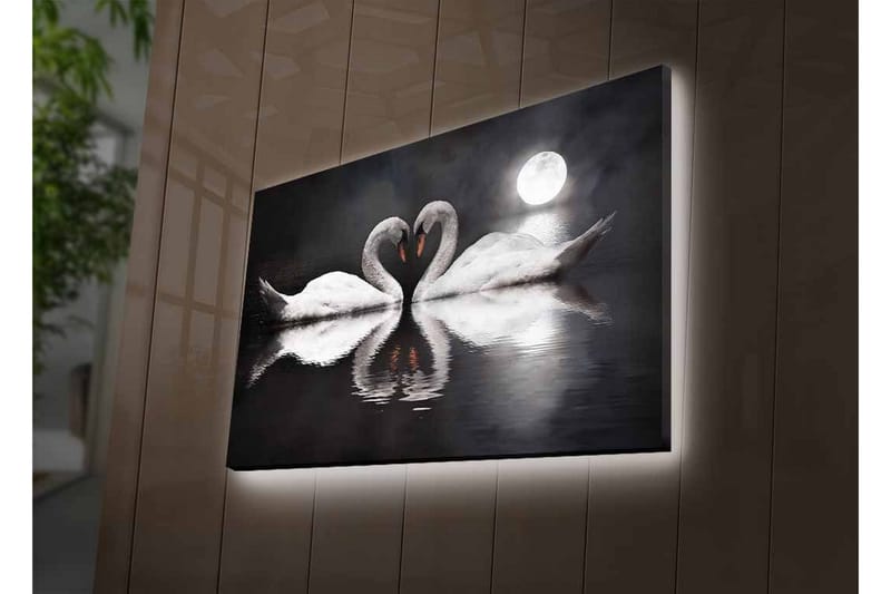 Lerretsbilde med LED-belysning - To svaner som danner et hjerte i en speillignende innsjø under en måne - Hvit / Svart / Grå - Interiør - Maleri & posters - Lerretsbilder
