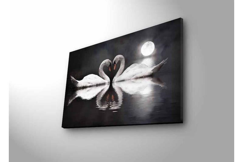 Lerretsbilde med LED-belysning - To svaner som danner et hjerte i en speillignende innsjø under en måne - Hvit / Svart / Grå - Interiør - Maleri & posters - Lerretsbilder