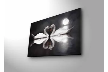 Lerretsbilde med LED-belysning - To svaner som danner et hjerte i en speillignende innsjø under en måne - Hvit / Svart / Grå - Interiør - Maleri & posters - Lerretsbilder