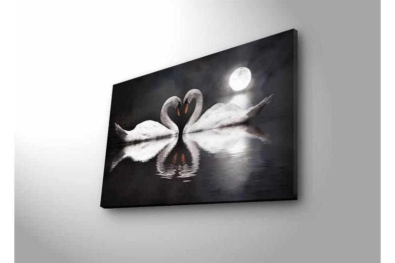 Lerretsbilde med LED-belysning - To svaner som danner et hjerte i en speillignende innsjø under en måne - Hvit / Svart / Grå - Interiør - Maleri & posters - Lerretsbilder