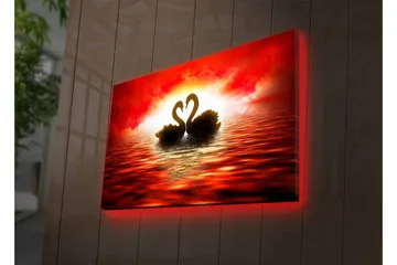 Lerretsbilde med LED-belysning - To svaner som danner et hjerte mot en dramatisk solnedgang - Rød / Svart / Oransje - Interiør - Maleri & posters - Lerretsbilder
