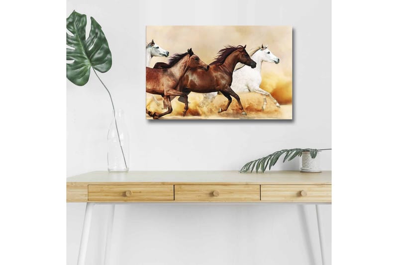 Lerretsbilde med LED-belysning - Tre hester i bevegelse over en sandoverflate, Brun / Hvit / Beige