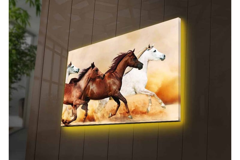 Lerretsbilde med LED-belysning - Tre hester i bevegelse over en sandoverflate - Brun / Hvit / Beige - Interiør - Maleri & posters - Lerretsbilder