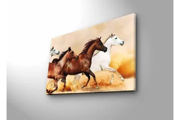 Lerretsbilde med LED-belysning - Tre hester i bevegelse over en sandoverflate - Brun / Hvit / Beige - Interiør - Maleri & posters - Lerretsbilder