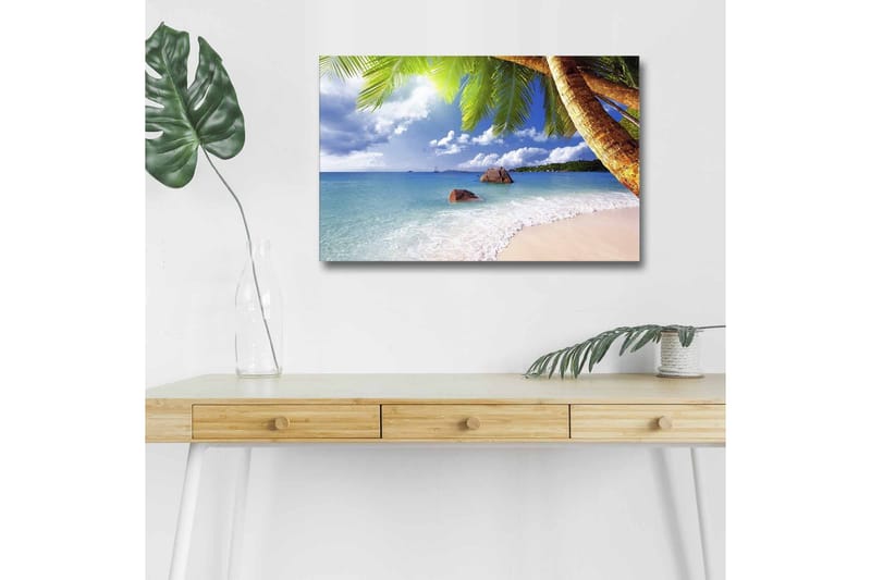 Lerretsbilde med LED-belysning - Tropisk strand med palmer og klart blått hav, Blå / Grønn / Beige