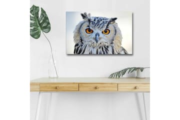 Lerretsbilde med LED-belysning - Ugle med intense øyne og detaljert fjærdrakt - Grå / Oransje / Hvit - Interiør - Maleri & posters - Lerretsbilder