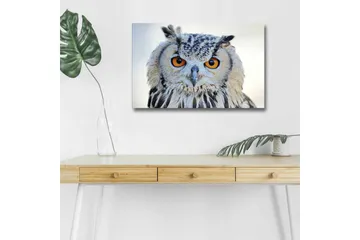 Lerretsbilde med LED-belysning - Ugle med intense øyne og detaljert fjærdrakt - Grå / Oransje / Hvit - Interiør - Maleri & posters - Lerretsbilder