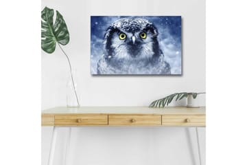 Lerretsbilde med LED-belysning - Ugle med snødekte detaljer og intense øyne - Blå / Hvit / Gul - Interiør - Maleri & posters - Lerretsbilder