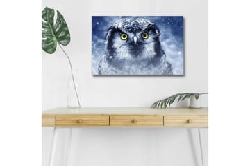 Lerretsbilde med LED-belysning - Ugle med snødekte detaljer og intense øyne - Blå / Hvit / Gul - Interiør - Maleri & posters - Lerretsbilder