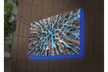 Lerretsbilde med LED-belysning - Utsikt oppover gjennom tretoppene i en skog - Blå / Brun / Grønn - Interiør - Maleri & posters - Lerretsbilder
