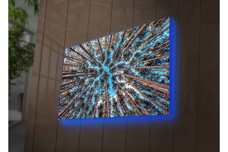 Lerretsbilde med LED-belysning - Utsikt oppover gjennom tretoppene i en skog - Blå / Brun / Grønn - Interiør - Maleri & posters - Lerretsbilder