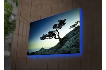 Lerretsbilde med LED-belysning - Vakker silhuett av et forblåst tre på en klippe i skumringen - Mørkegrønn / Blå / Lysegrønn - Interiør - Maleri & posters - Lerretsbilder