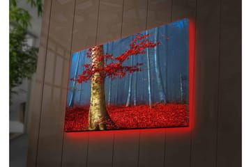 Lerretsbilde med LED-belysning - Vakker skog med røde høstblader og en lys stamme i tåken - Rød / Grønn / Blå - Interiør - Maleri & posters - Lerretsbilder