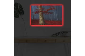 Lerretsbilde med LED-belysning - Vakker skog med røde høstblader og en lys stamme i tåken - Rød / Grønn / Blå - Interiør - Maleri & posters - Lerretsbilder