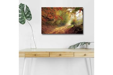 Lerretsbilde med LED-belysning - Vakker skogsti omgitt av høstfarger - Rød / Grønn / Brun - Interiør - Maleri & posters - Lerretsbilder