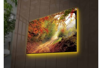 Lerretsbilde med LED-belysning - Vakker skogsti omgitt av høstfarger - Rød / Grønn / Brun - Interiør - Maleri & posters - Lerretsbilder