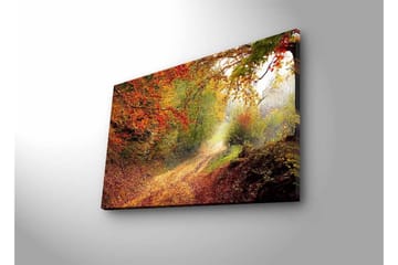 Lerretsbilde med LED-belysning - Vakker skogsti omgitt av høstfarger - Rød / Grønn / Brun - Interiør - Maleri & posters - Lerretsbilder